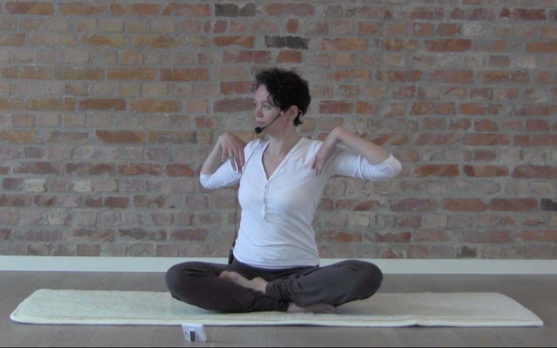 DET LILLE RYGG PROGRAMMET