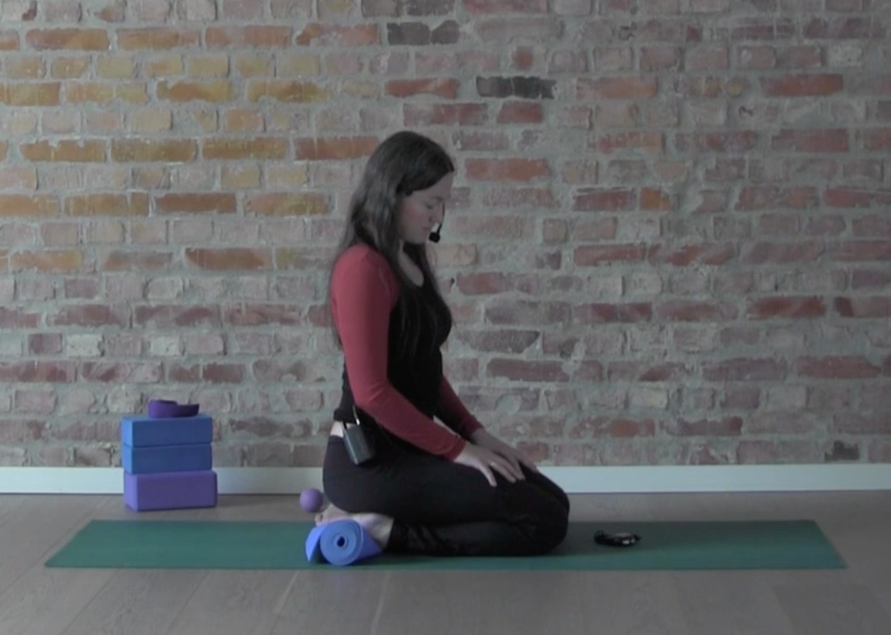 BALL FOR HOFTE, LÅR OG RYGG, 5