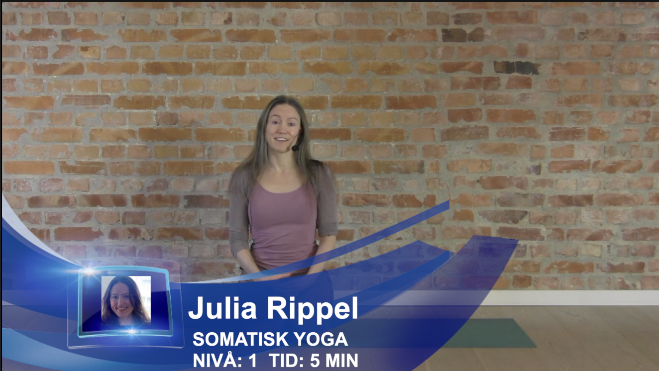 TRE GRUNNLEGGENDE PRINSIPPER