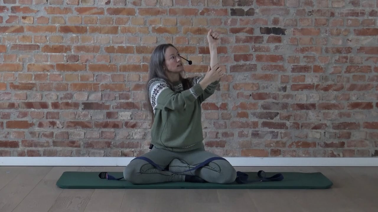 STROPP FOR SKULDRE 1