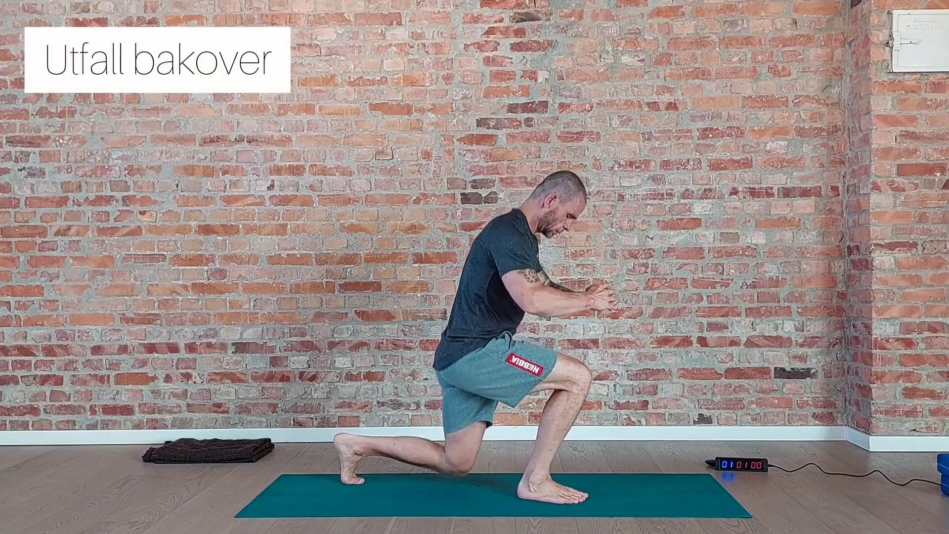 FORBRENNING FORKLARING DAG 9