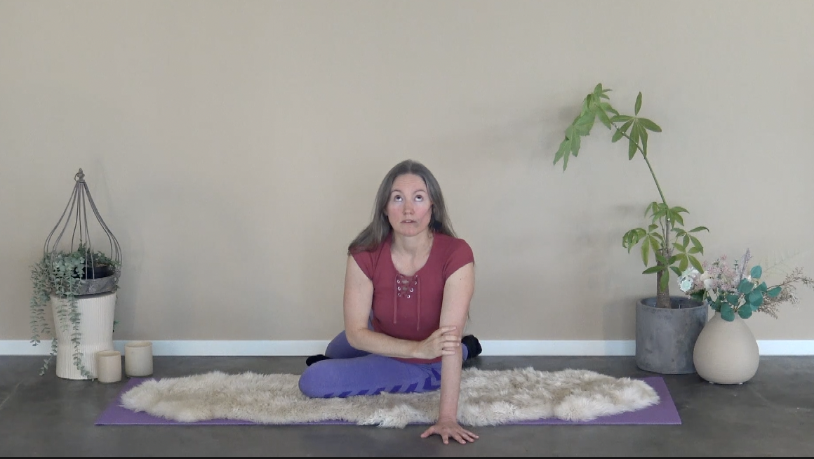 INNFØRING SITTENDE KRUM OG SVAI MED BLIKK