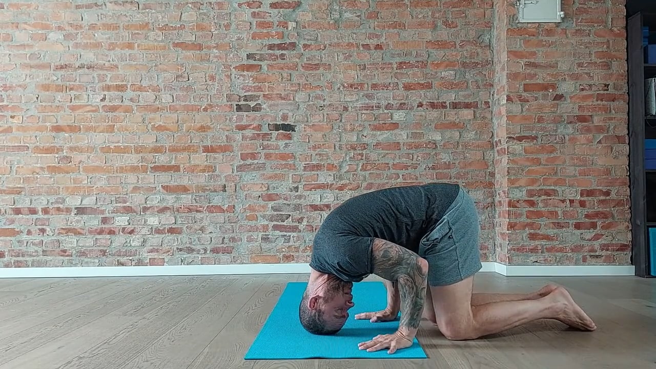 FASE 4: TEKNIKK OG HOLDNING