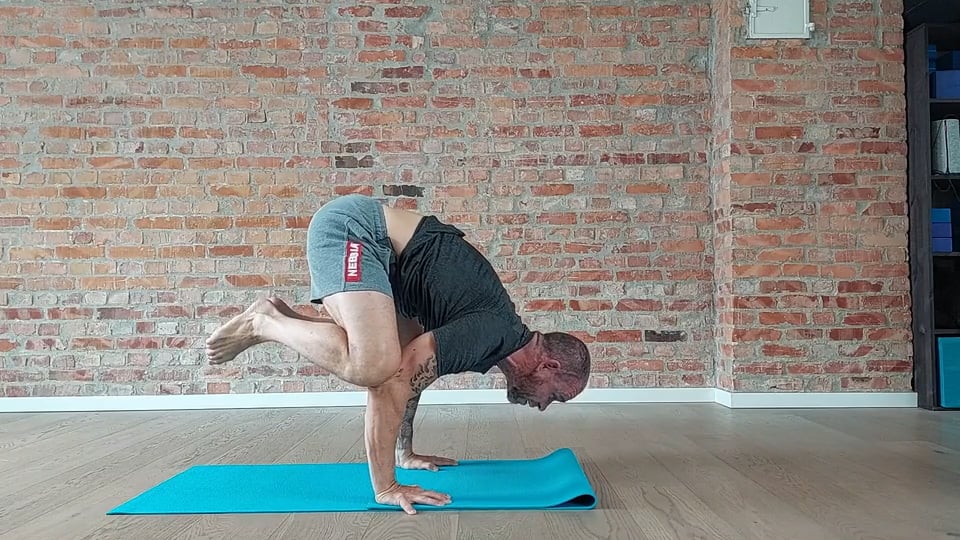 FASE 13: HODESTÅENDE TIL KRÅKE