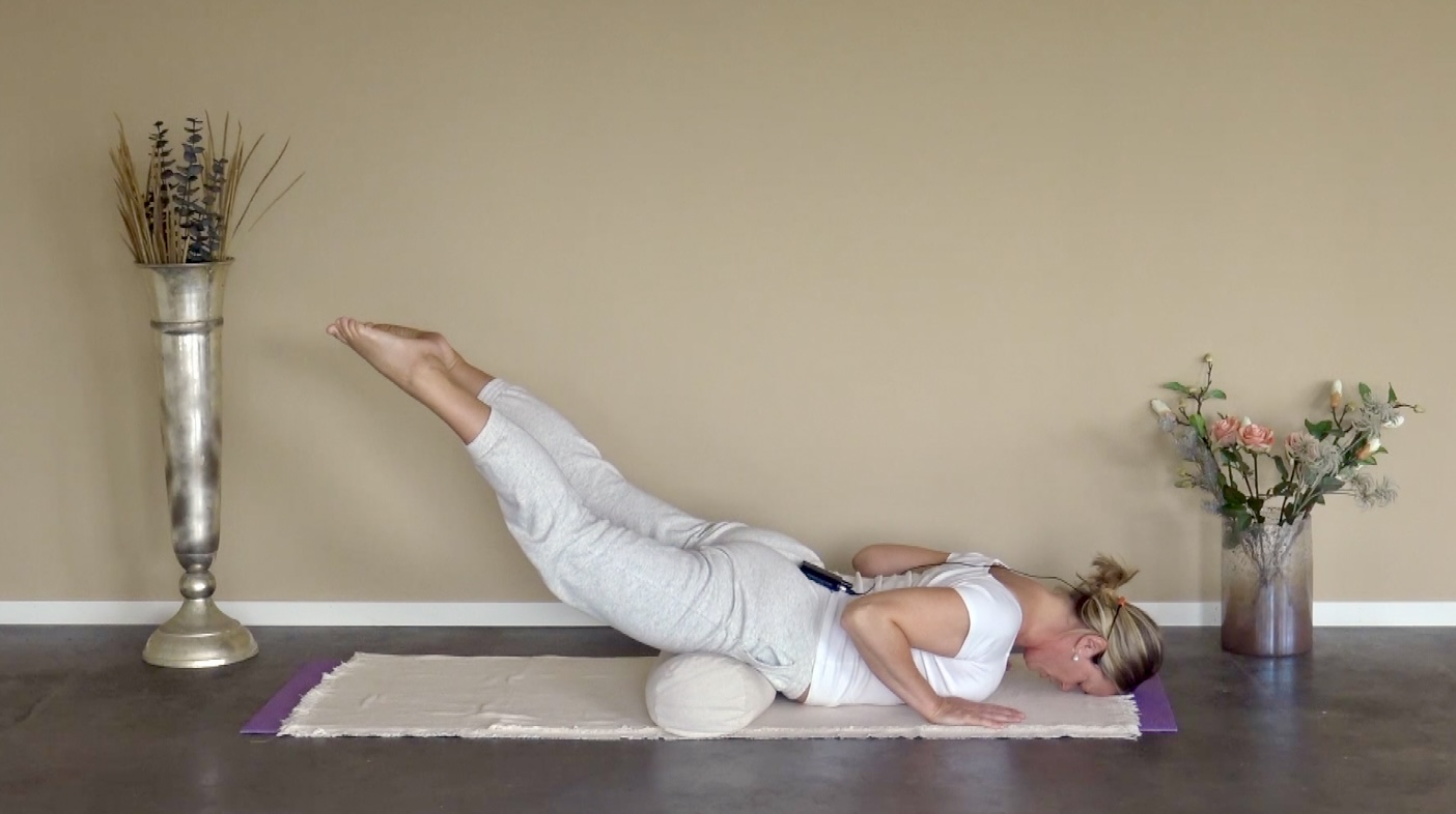 LIVSKRAFT - NAVLEPUNKT