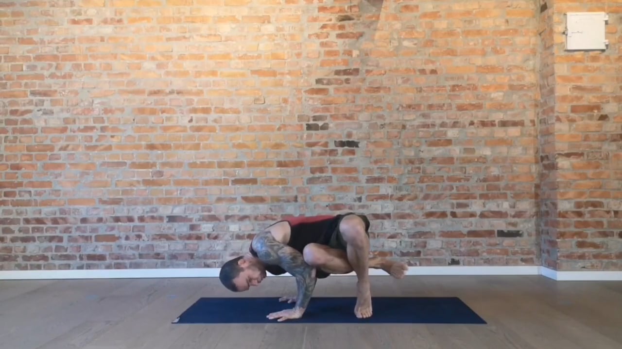 MODUL 5 - SIDE KRÅKE